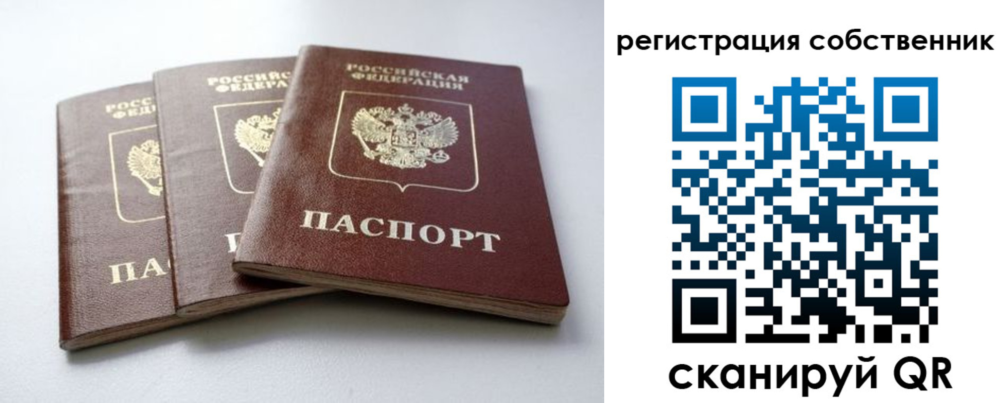 прописка для школы в Новосибирске